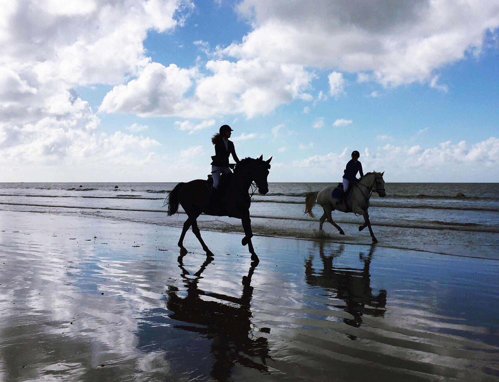 Borkum Leuchtfeuer Touristik reiten