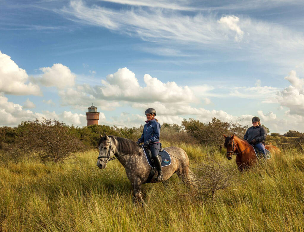 Borkum Leuchtfeuer Touristik Reitstall